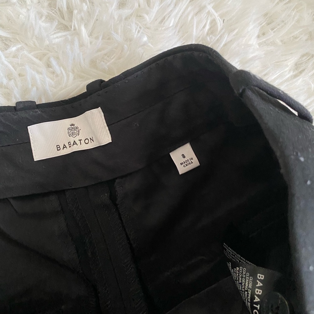 Aritzia Babaton Pleated Pant —TALL - Picture 5 of 11